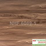  NHF 6089-1 