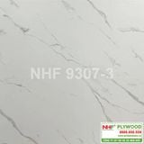  NHF 9307-3 