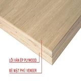  Plywood phủ Veneer 