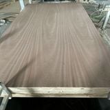  Plywood phủ Veneer 