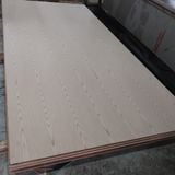  Plywood phủ Veneer 