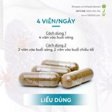  Viên Uống Bổ Phổi Xtend Life Lung Support Plus (120 Viên) 