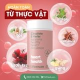  Viên uống tăng cường tuần hoàn máu Lifestream High Potency Circulate (30 viên) 