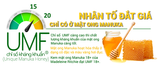  Mật ong Manuka 100% nguyên chất Deep Blue Health Manuka Honey UMF 10+ 