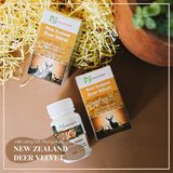  Viên Uống Nhung Hươu Deer Velvet NzPurehealth (30/ 100 viên) 