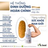  Viên Uống Vitamin Tổng Hợp Cho Nam Xtend-Life Total Balance Men's (120v) 