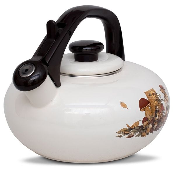 Ấm Tráng Men Fujihoro FTCV-2.8K