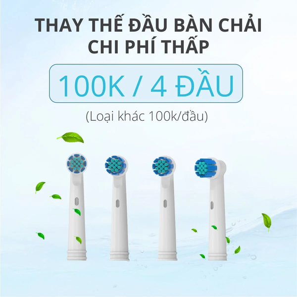 Bàn Chải Điện Đầu Xoay Tròn Kachi MK361