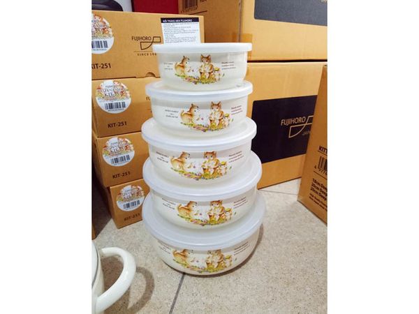 Bộ 5 thố tráng men Fujihoro KIT-251