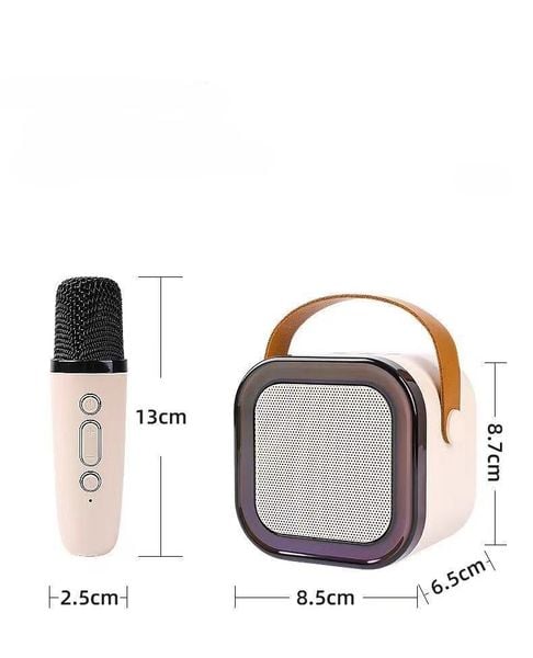 Loa bluetooth karaoke LK-812 kèm 2 micro - tặng kèm bộ tua vít đảo chiều