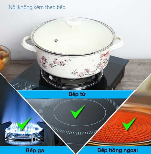 Bộ 3 nồi thép Nippon tráng men Fujihoro SKW-332G - đào tím nắp kính