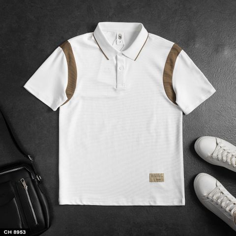 CH 8953 - POLO