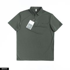 6313 - POLO