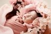 Gói Chụp NewBorn 1