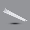 LED-PIFE236L36-1