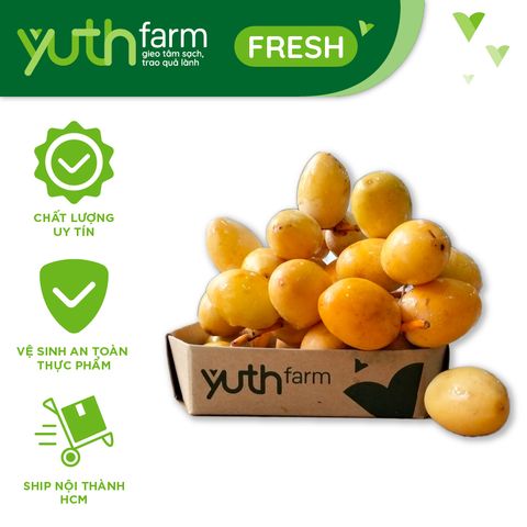  Chà là tươi [Giao trong TP. Hồ Chí Minh; Trừ Cần Giờ, Hóc Môn, Củ Chi] 