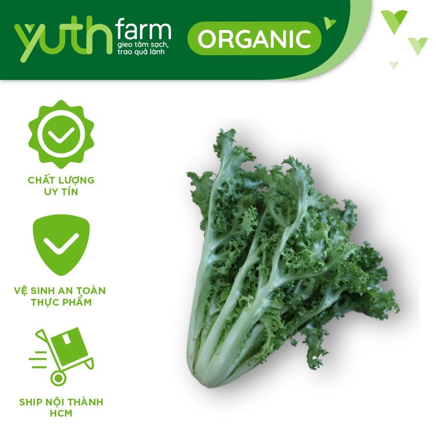  Xà lách Frise' YF [Giao trong TP. Hồ Chí Minh; Trừ Cần Giờ, Hóc Môn, Củ Chi] 