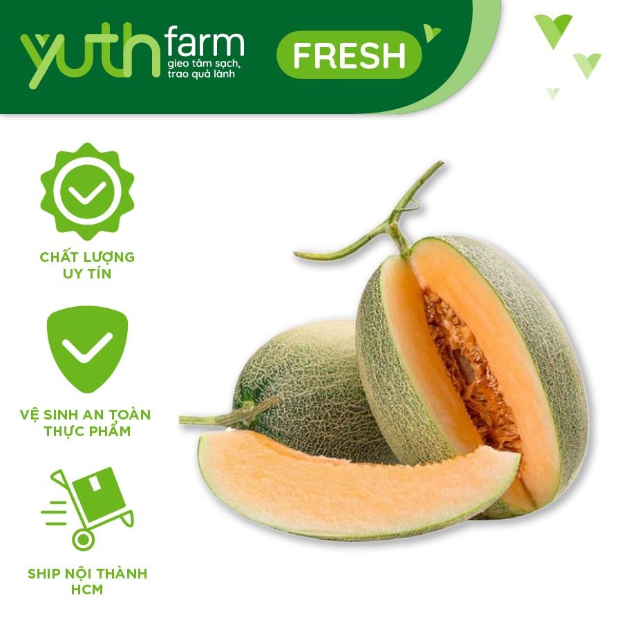  Dưa lưới giống Đài Loan [Giao trong TP. Hồ Chí Minh; Trừ Cần Giờ, Hóc Môn, Củ Chi] 