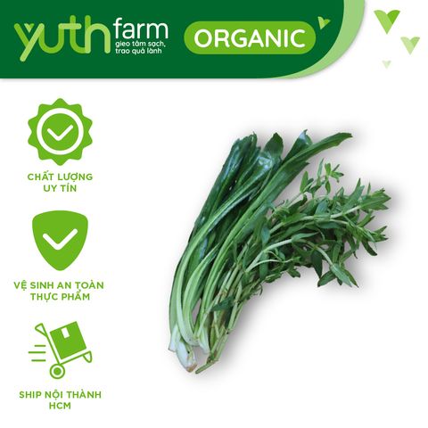  Combo Ngò gai, Rau ôm [Giao trong TP. Hồ Chí Minh; Trừ Cần Giờ, Hóc Môn, Củ Chi] 