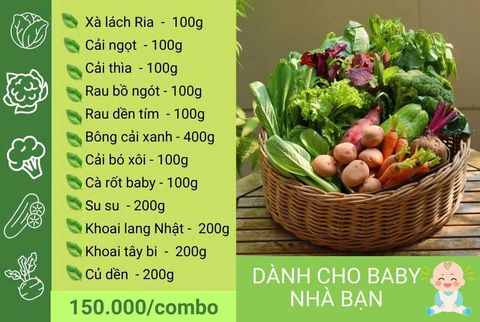  Combo rau cho bé 