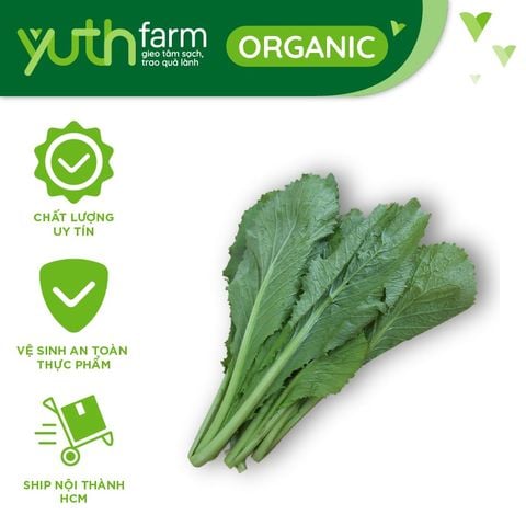  Cải bẹ xanh [Giao trong TP. Hồ Chí Minh; Trừ Cần Giờ, Hóc Môn, Củ Chi] 