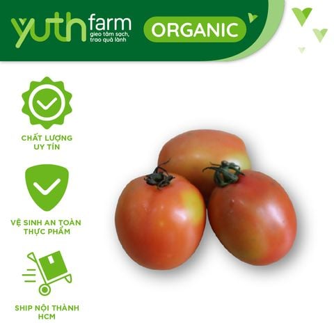  Cà chua Ana [Giao trong TP. Hồ Chí Minh; Trừ Cần Giờ, Hóc Môn, Củ Chi] 