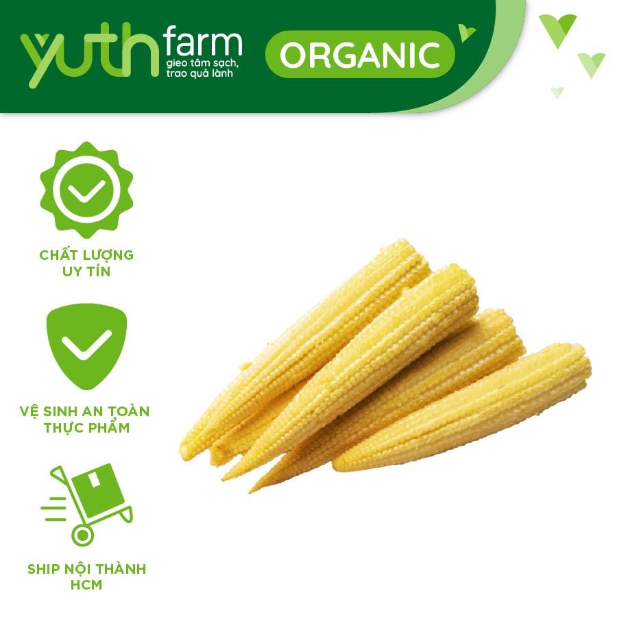  Bắp non [Giao trong TP.Hồ Chí Minh, Trừ Cần Giờ, Hóc Môn, Củ Chi] 