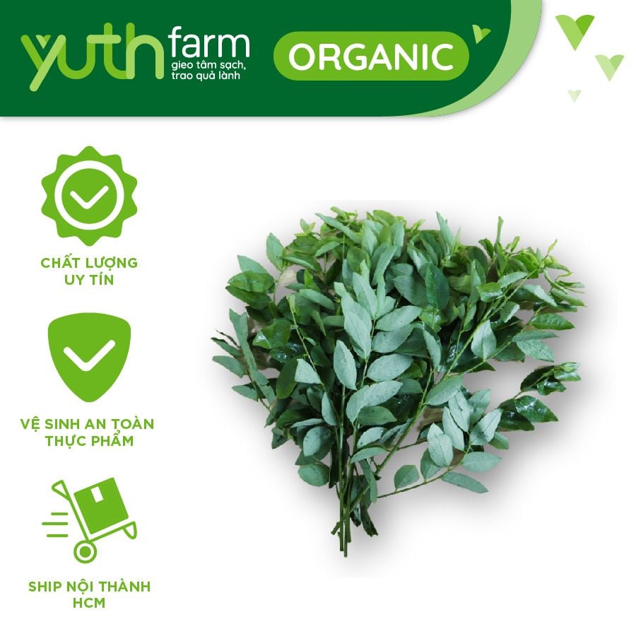  Rau bồ ngót [Giao trong TP. Hồ Chí Minh; Trừ Cần Giờ, Hóc Môn, Củ Chi] 