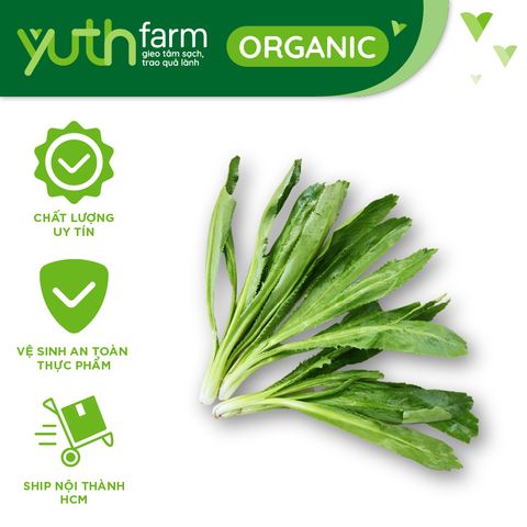  Ngò gai [Giao trong TP. Hồ Chí Minh; Trừ Cần Giờ, Hóc Môn, Củ Chi] 