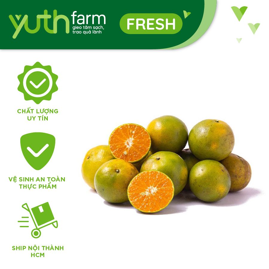  Quýt đường [Giao trong TP. Hồ Chí Minh; Trừ Cần Giờ, Hóc Môn, Củ Chi] 