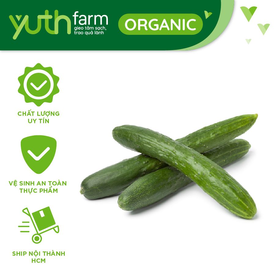  Dưa Leo Nhật [Giao trong TP. Hồ Chí Minh; Trừ Cần Giờ, Hóc Môn, Củ Chi] 