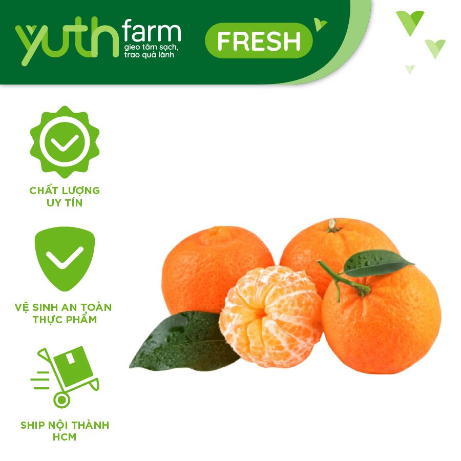  Quýt Thái [Giao trong TP. Hồ Chí Minh; Trừ Cần Giờ, Hóc Môn, Củ Chi] 