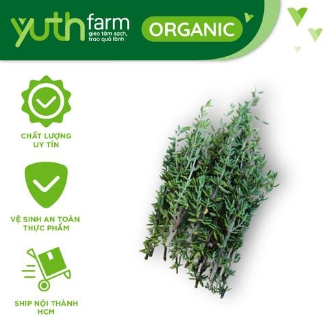  Xạ hương [Giao trong TP. Hồ Chí Minh; Trừ Cần Giờ, Hóc Môn, Củ Chi] 