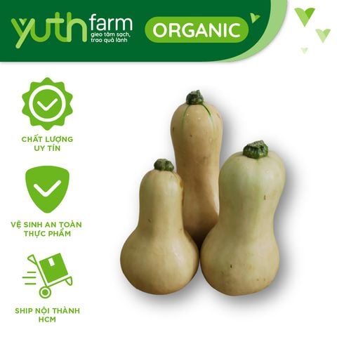  Bí hạt đậu baby 