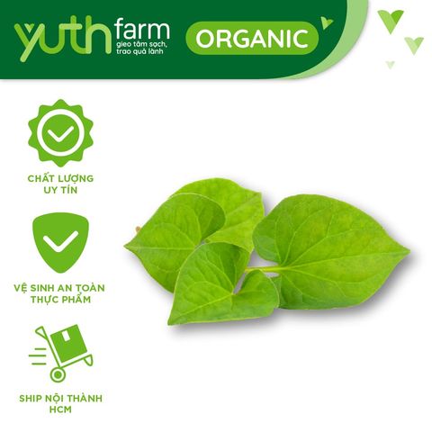  Rau diếp cá [Giao trong TP. Hồ Chí Minh; Trừ Cần Giờ, Hóc Môn, Củ Chi] 