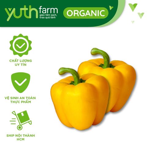  Ớt chuông vàng [Giao trong TP. Hồ Chí Minh; Trừ Cần Giờ, Hóc Môn, Củ Chi] 