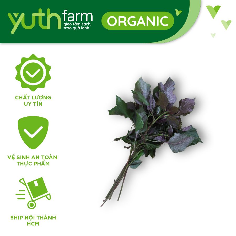  Rau tía tô [Giao trong TP. Hồ Chí Minh; Trừ Cần Giờ, Hóc Môn, Củ Chi] 