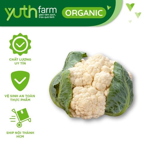  Bông cải trắng [Giao trong TP. Hồ Chí Minh; Trừ Cần Giờ, Hóc Môn, Củ Chi] 