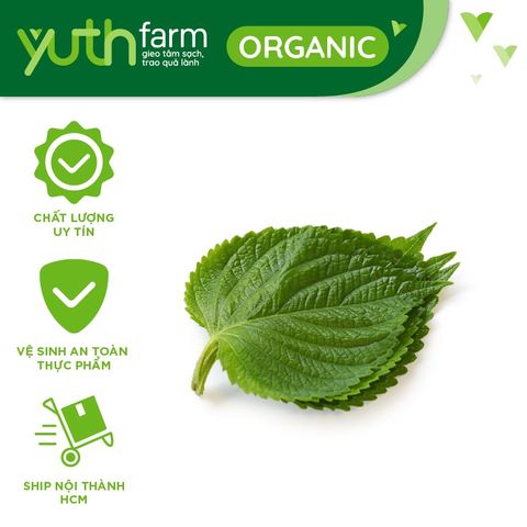  Lá mè [Giao trong TP. Hồ Chí Minh; Trừ Cần Giờ, Hóc Môn, Củ Chi] 