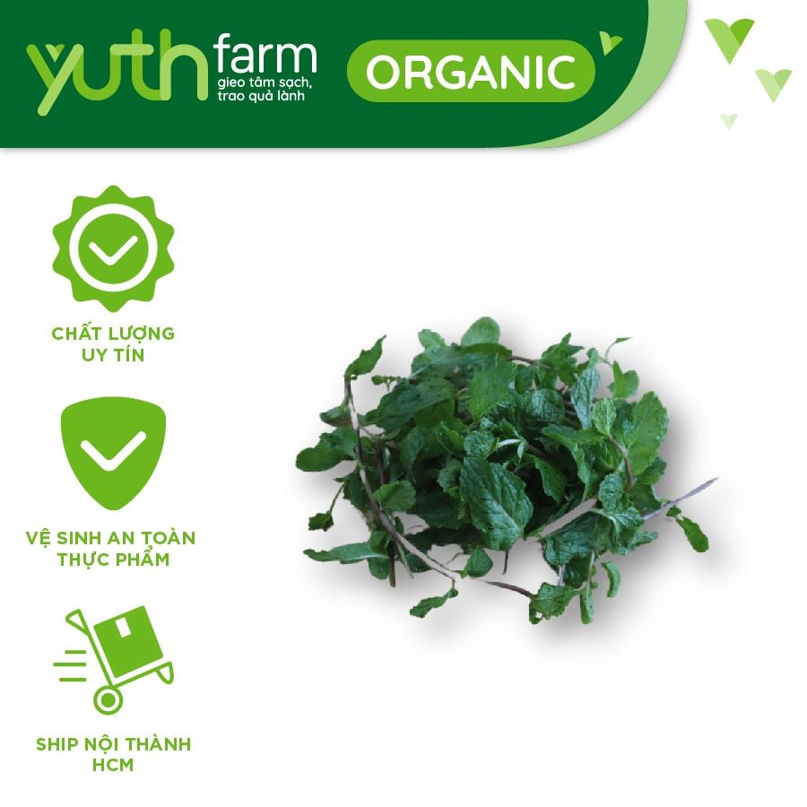  Rau húng lủi [Giao trong TP. Hồ Chí Minh; Trừ Cần Giờ, Hóc Môn, Củ Chi] 