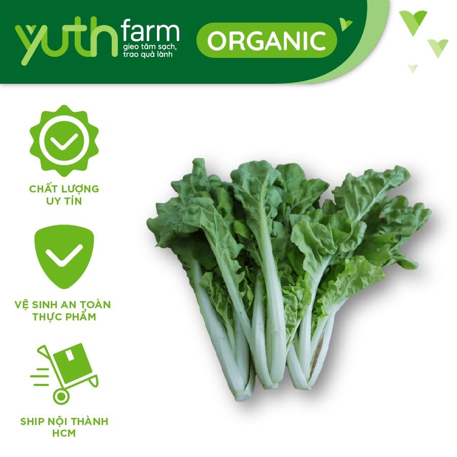  Cải dún [Giao trong TP. Hồ Chí Minh; Trừ Cần Giờ, Hóc Môn, Củ Chi] 