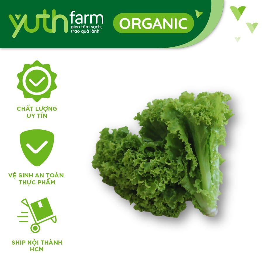  Xà lách Ria [Giao trong TP. Hồ Chí Minh; Trừ Cần Giờ, Hóc Môn, Củ Chi] 