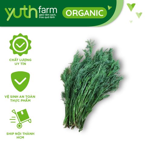  Thì là [Giao trong TP. Hồ Chí Minh; Trừ Cần Giờ, Hóc Môn, Củ Chi] 