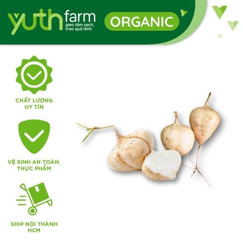Củ Sắn (Củ Đậu) – Yuth Farm & Foods