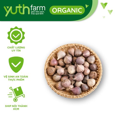  Tỏi cô đơn [Giao hàng toàn quốc] 