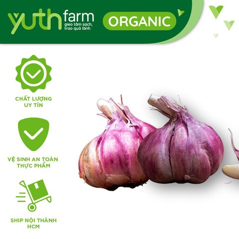  Tỏi tím nhạt [Giao hàng toàn quốc] 