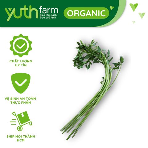  Cần nước [Giao trong TP. Hồ Chí Minh; Trừ Cần Giờ, Hóc Môn, Củ Chi] 