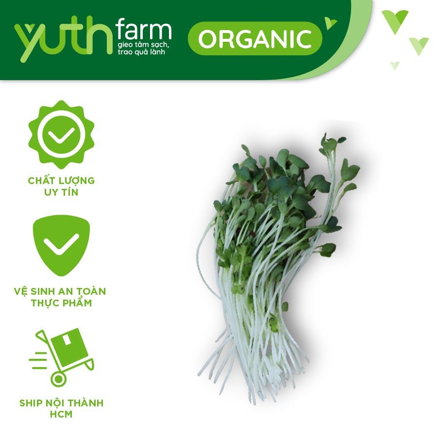  Rau mầm [Giao trong TP. Hồ Chí Minh; Trừ Cần Giờ, Hóc Môn, Củ Chi] 