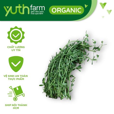  Rau đắng [Giao trong TP. Hồ Chí Minh; Trừ Cần Giờ, Hóc Môn, Củ Chi] 