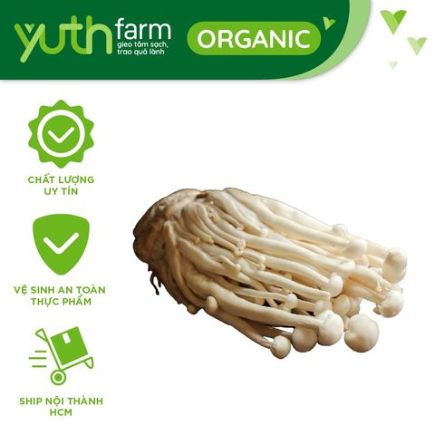  Nấm hải sản (Nấm ngọc châm) [Giao trong TP. Hồ Chí Minh; Trừ Cần Giờ, Hóc Môn, Củ Chi] 